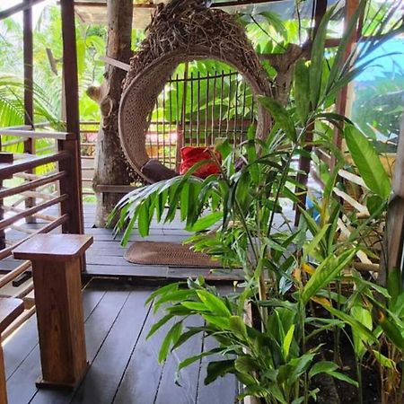 Hotel Cabana Guainiana イニーリダ エクステリア 写真